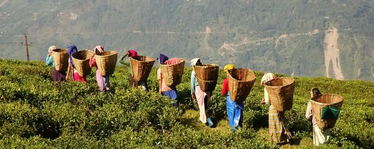 Malaysia An Experience Like No Other-1